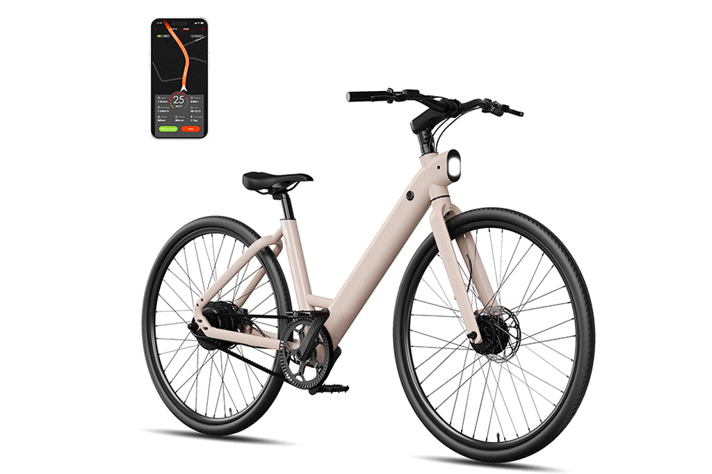 FD FDS1 Step-thru City Electric Bike