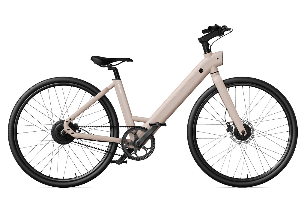 FD FDS1 Step-thru City Electric Bike