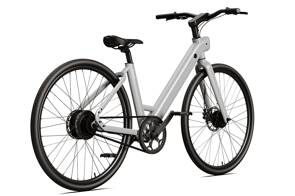 FD FDS1 Step-thru City Electric Bike