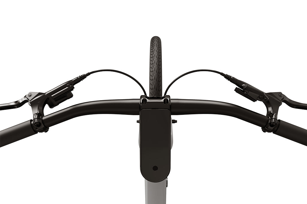 FD FDX1 Step-thru City Electric Bike