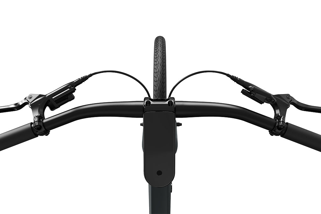 FD FDX1 Step-thru City Electric Bike