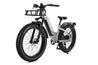 Freedare Eden Smart Electric Bike with APP control
