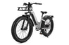 Freedare Eden Smart Electric Bike with APP control