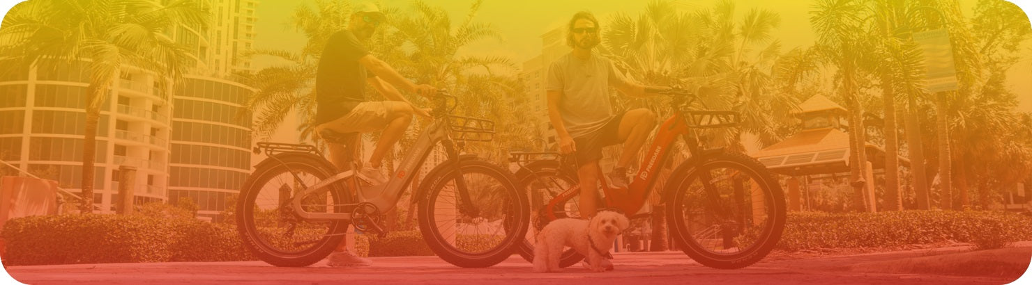 Freedare_fat_tire_electric_bike_in_USA_for_sale_9.jpg