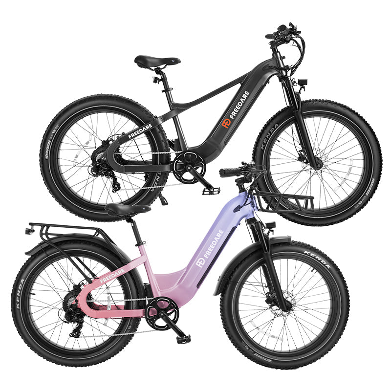 FD Bike Bundle丨Saiga + Eden Fat Tire Electric Bike （With Free Gift）