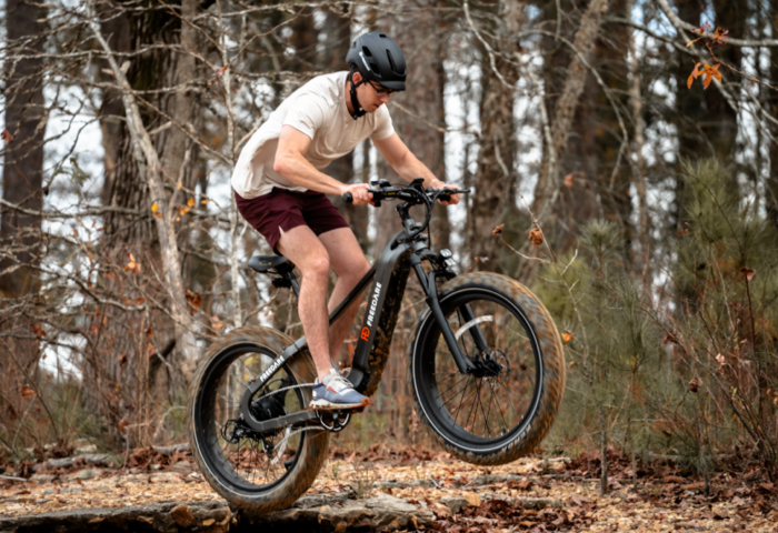 Freedare Saiga Ebike